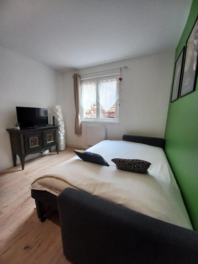 Appartement Le Passage Cocooning A Centre Touristique Colmar